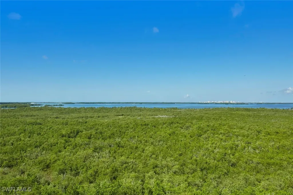 24011 Via Castella Drive Bonita Springs FL 34134