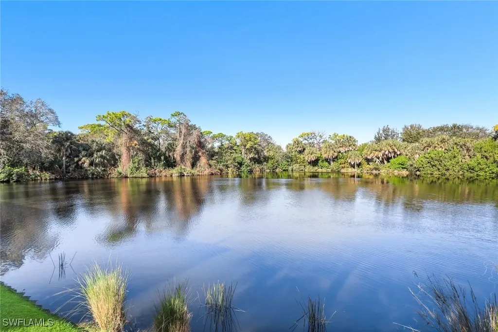 27030 Lake Harbor Court Bonita Springs FL 34134