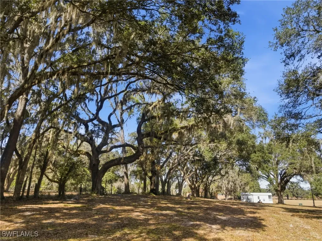 15050 W Highway 328 Ocala FL 34482