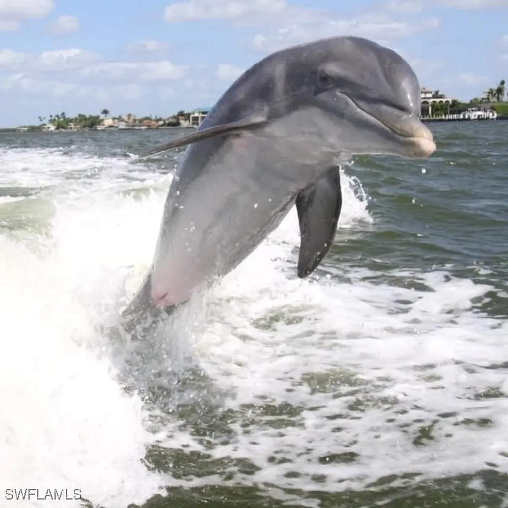 100 N Collier Boulevard Marco Island FL 34145
