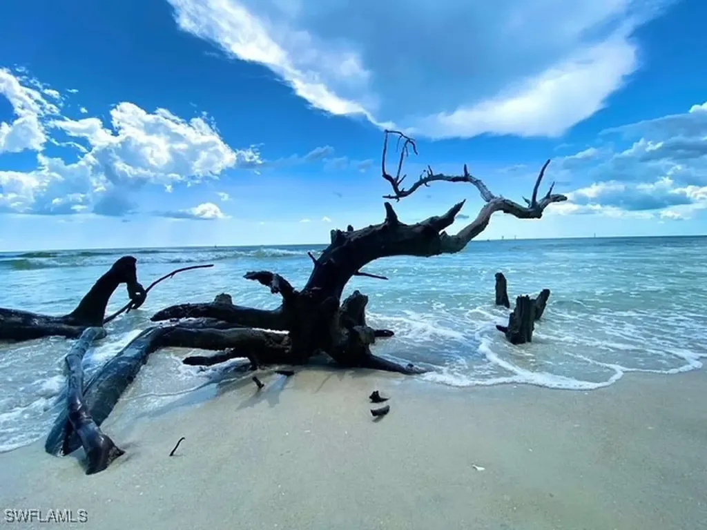 866 Carrick Bend Circle Naples FL 34110