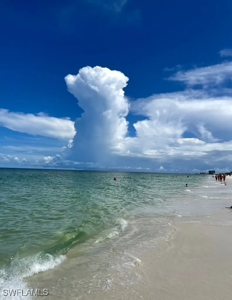 866 Carrick Bend Circle Naples FL 34110