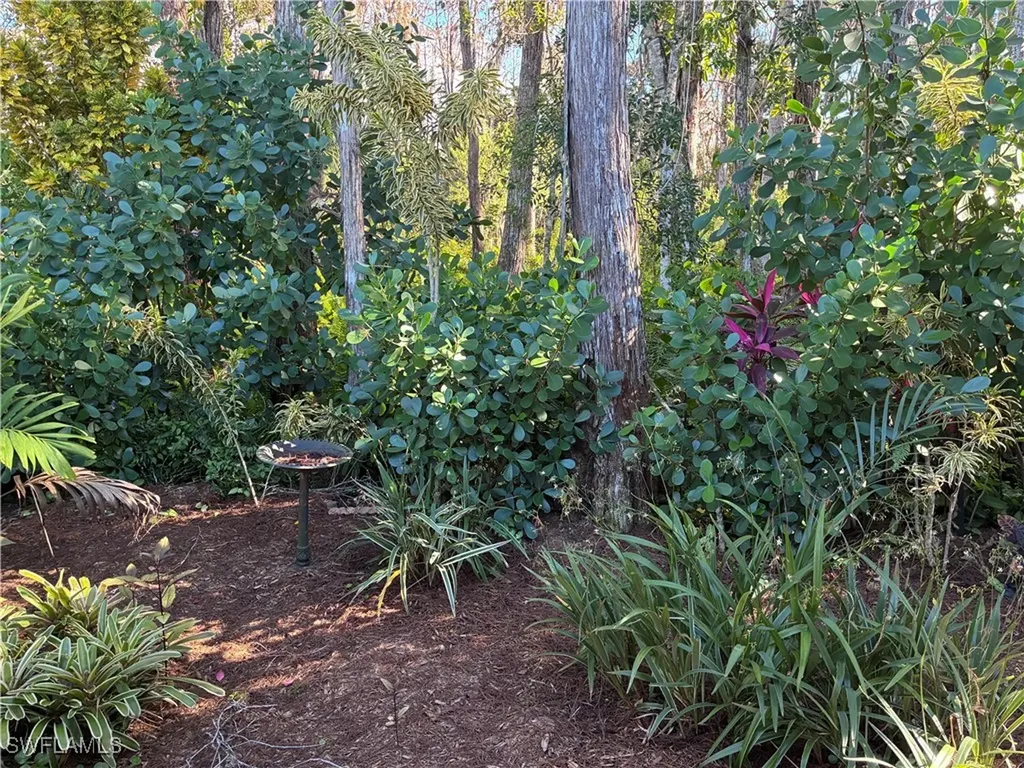 10727 Maui Circle Estero FL 33928