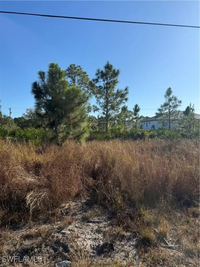 385 Lillon Avenue S Lehigh Acres FL 33974