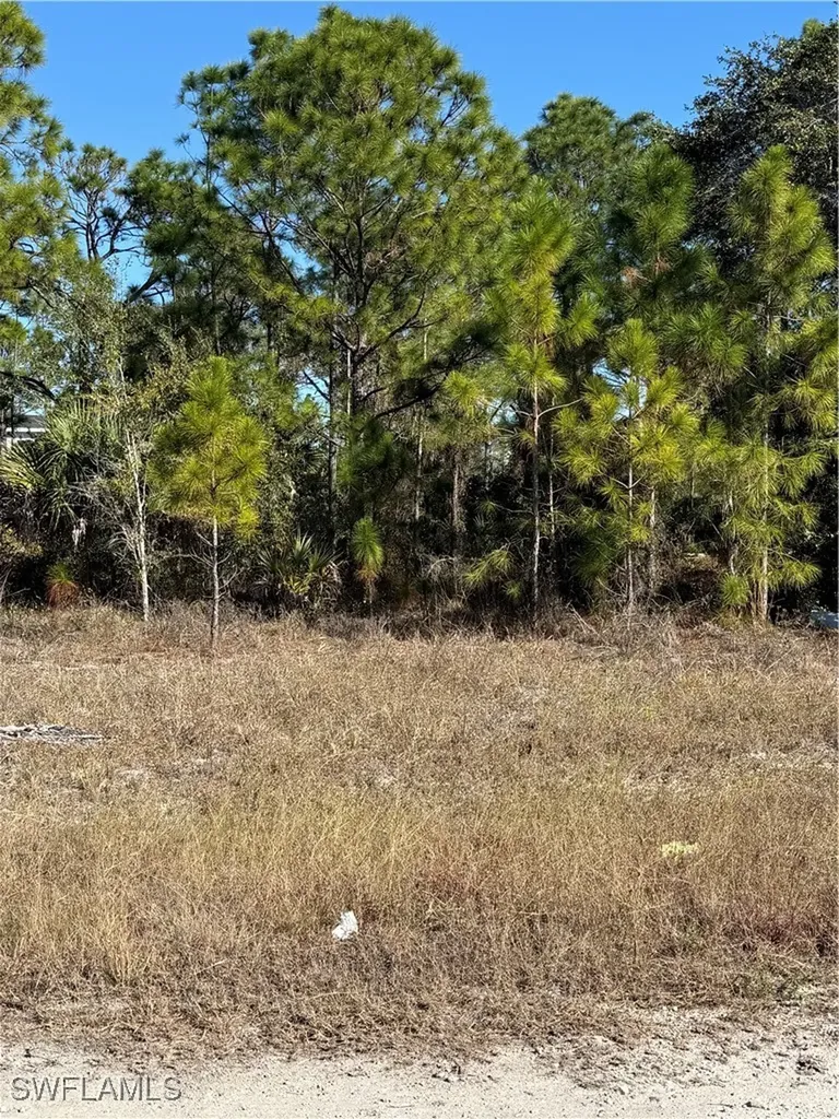 723 Worth Avenue S Lehigh Acres FL 33974