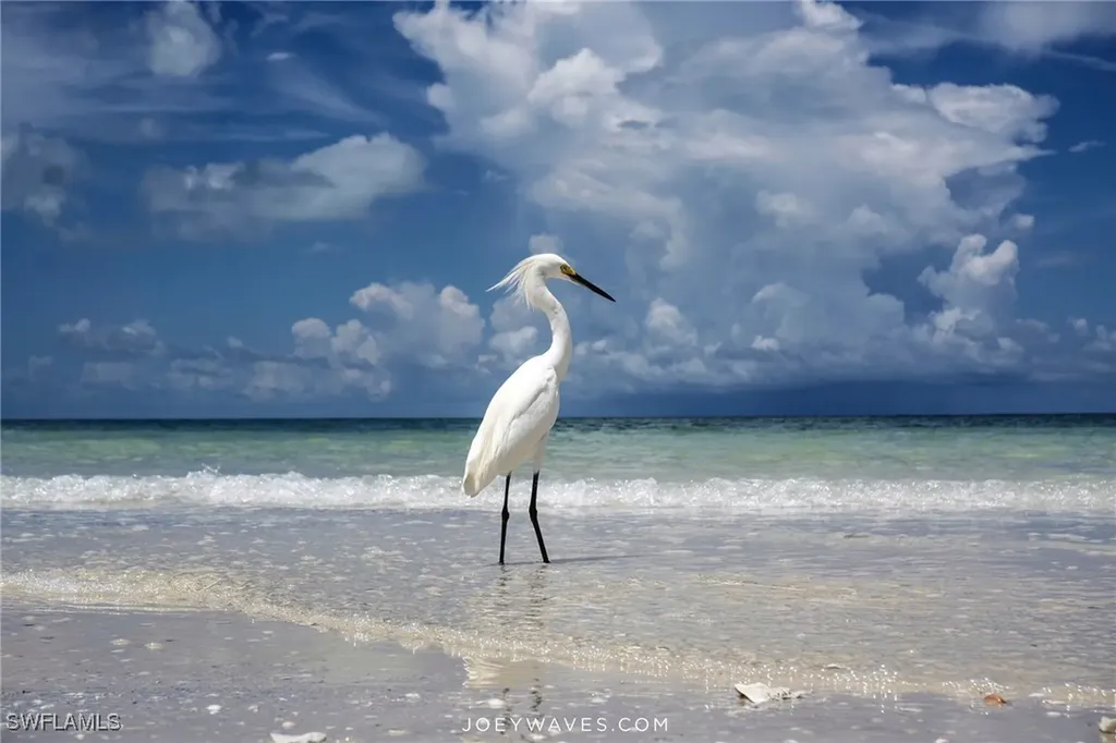 1170 Edington Place Marco Island FL 34145