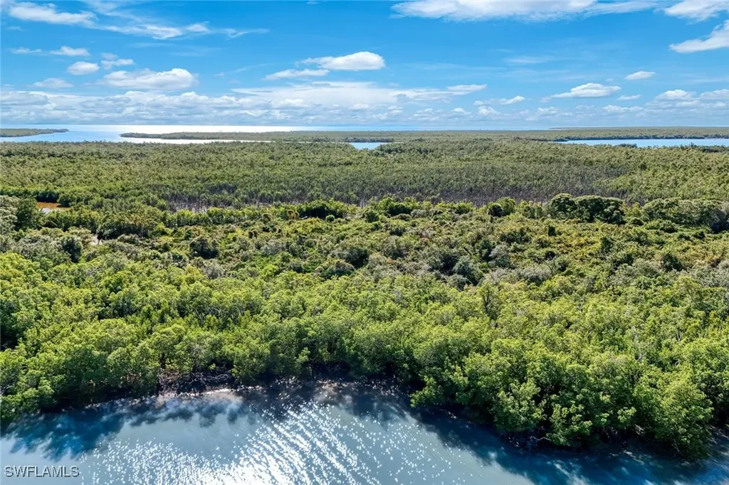 1011 Blue Hill Creek Drive Marco Island FL 34145