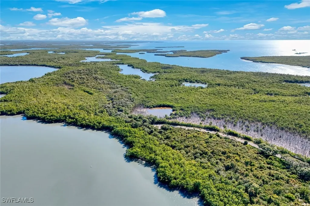 1011 Blue Hill Creek Drive Marco Island FL 34145