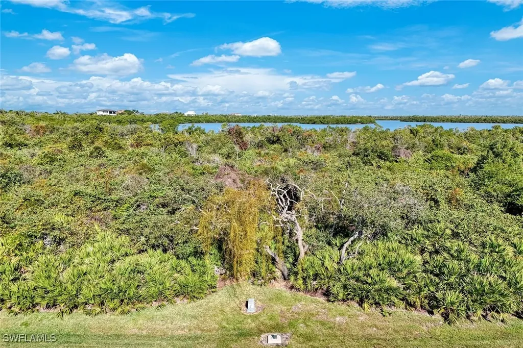 1011 Blue Hill Creek Drive Marco Island FL 34145