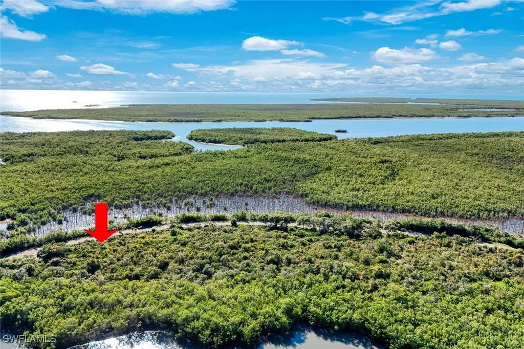 1011 Blue Hill Creek Drive Marco Island FL 34145