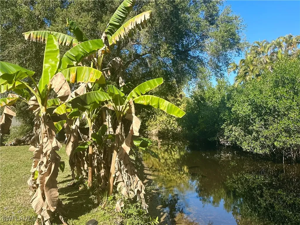 9805/9807 Montana Court Bonita Springs FL 34135