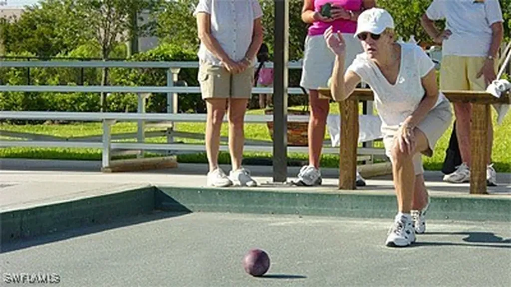 3481 Candleberry Court Bonita Springs FL 34134