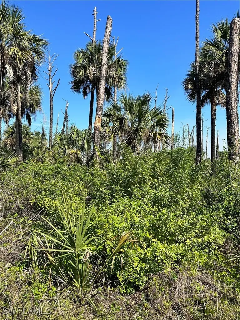 32ND Avenue SE Naples FL 34117