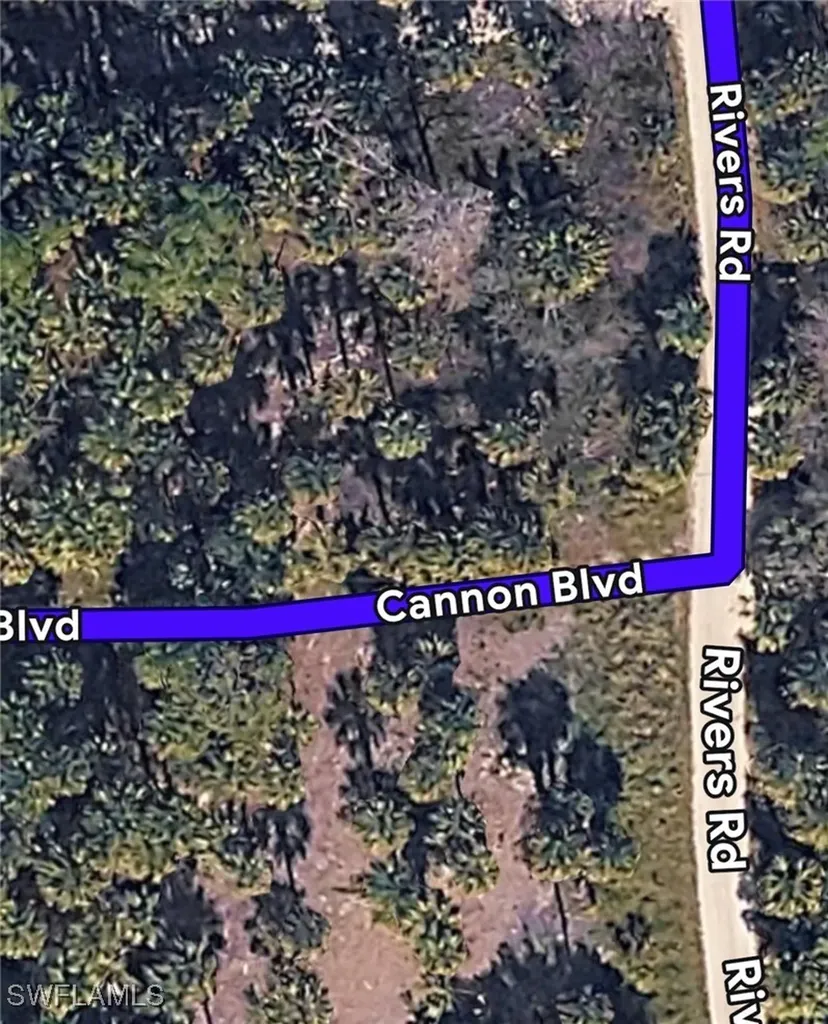 Xxx Cannon Boulevard Naples FL 34120