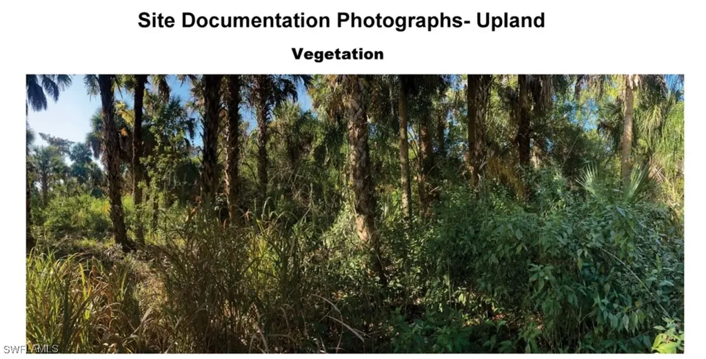 Xxx Cannon Boulevard Naples FL 34120