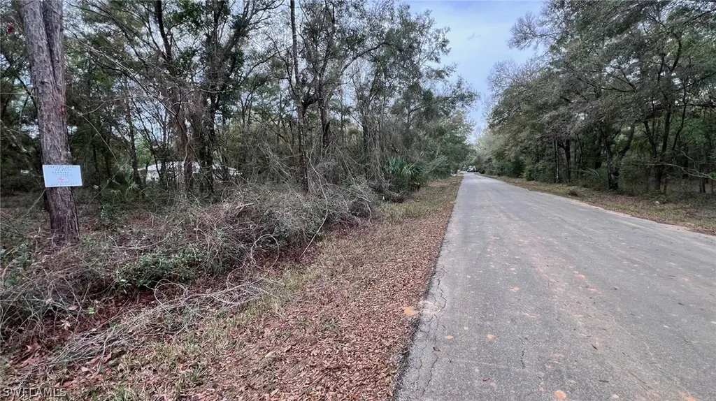 3176 E John Lane Inverness FL 34453