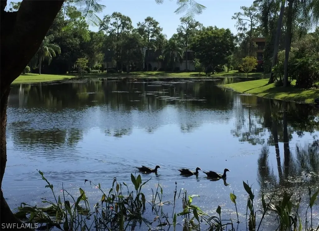 1645 Spoonbill Lane Naples FL 34105