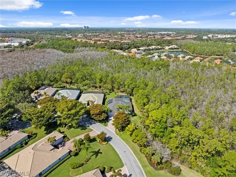 22043 Sycamore Grove Estero FL 34135