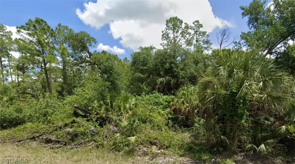 718 Louis Avenue Lehigh Acres FL 33972