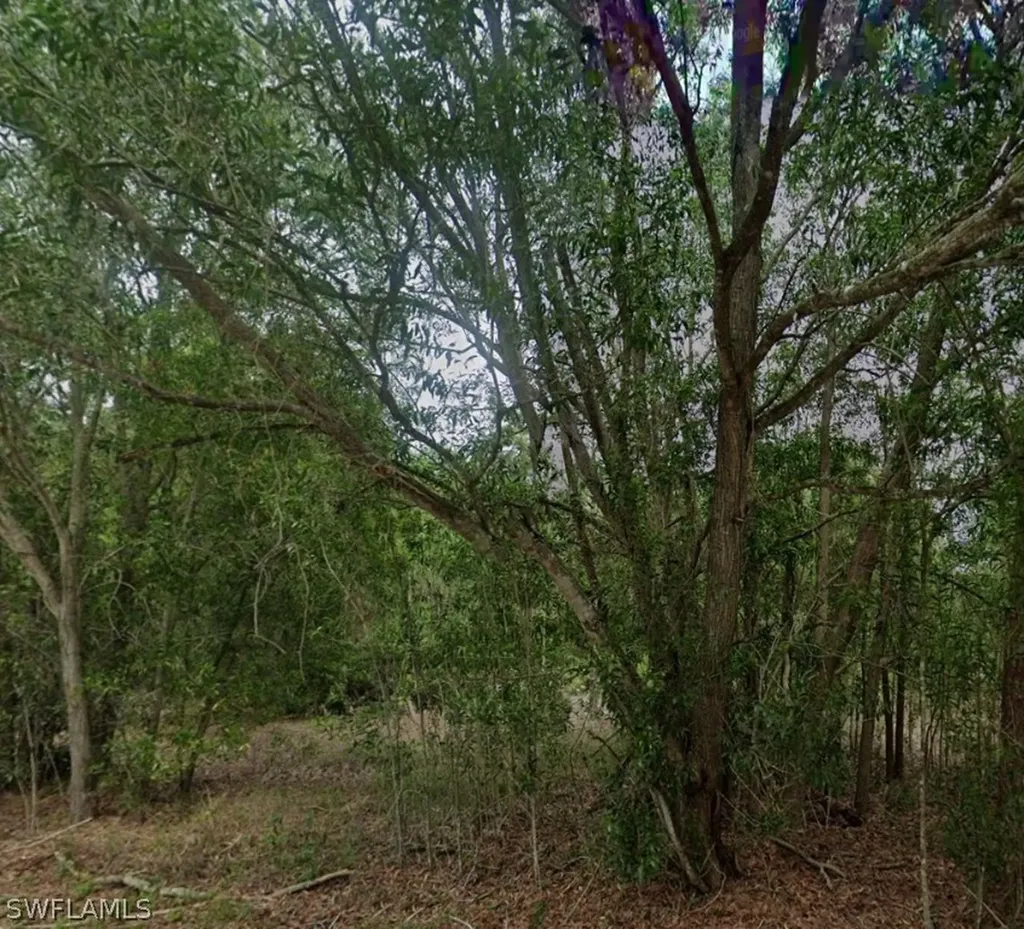118 Johns Avenue Lehigh Acres FL 33936