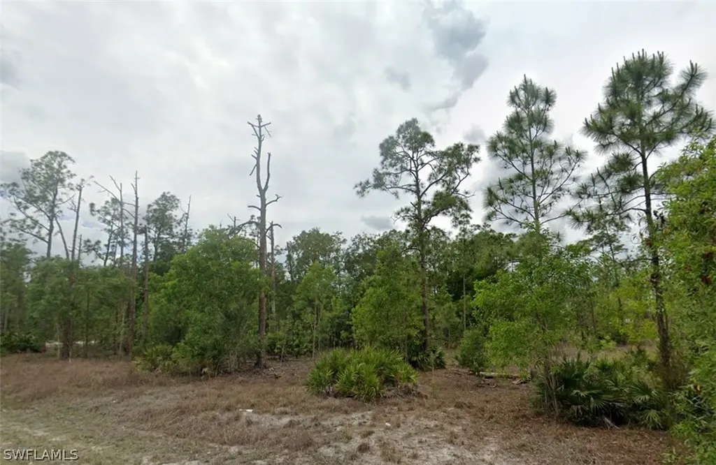 203 Wellington Avenue Lehigh Acres FL 33936