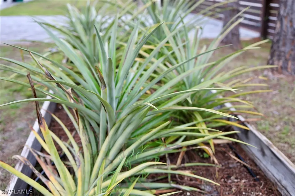 12 35th Avenue NW Naples FL 34120