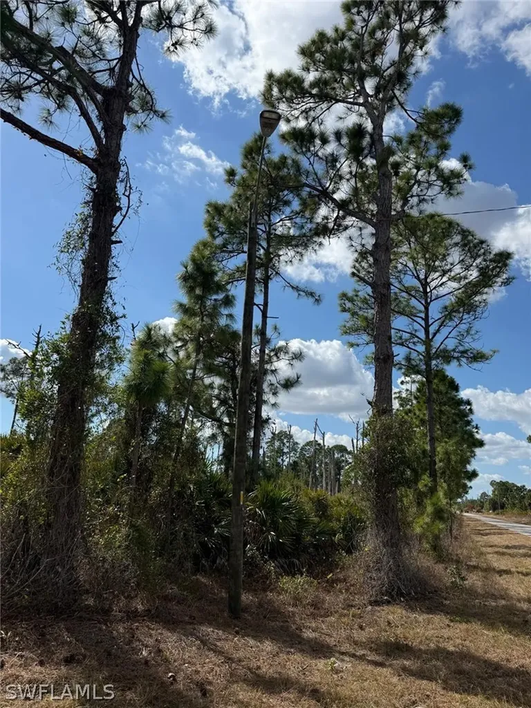1116 Plantation Road Lehigh Acres FL 33974