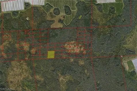 Immokalee FL 34142