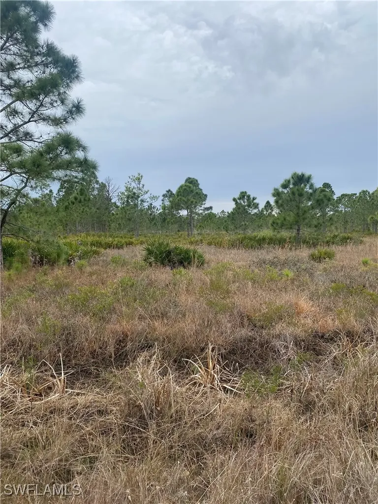 50522 Bermont Road Punta Gorda FL 33982