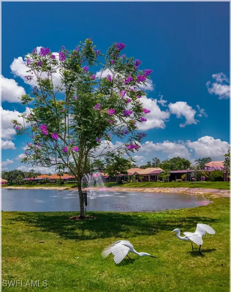 9871 Rookery Circle Estero FL 33928