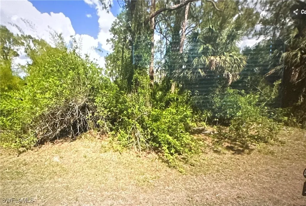 2310 Monroe Avenue Alva FL 33920
