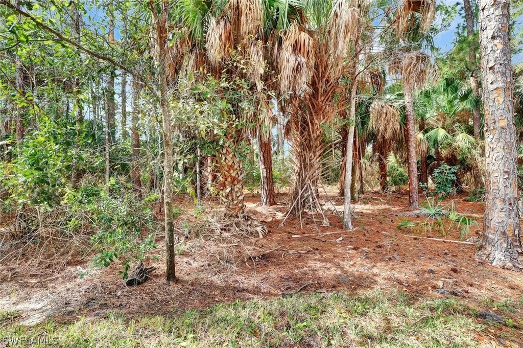 8206 Sanctuary Drive Naples FL 34104