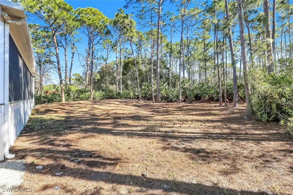 24099 Rodas Drive Bonita Springs FL 34135