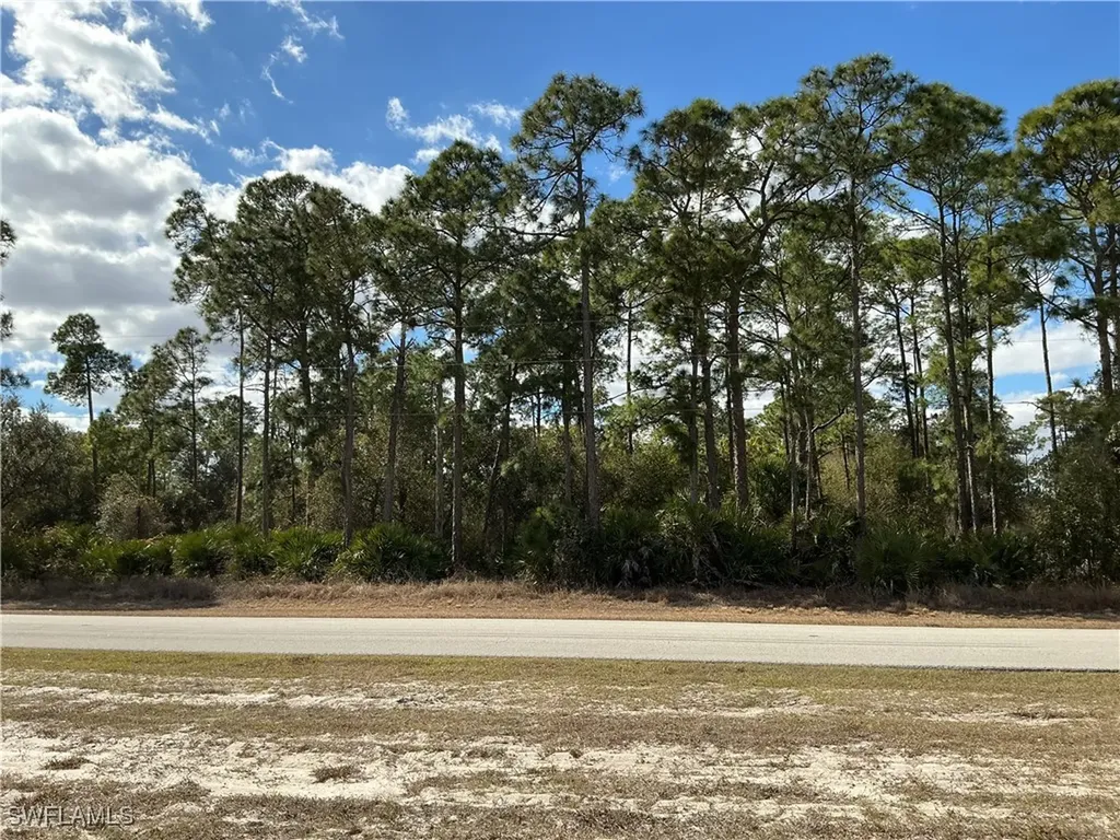 430 & 450 N Cabbage Palm Street Clewiston FL 33440