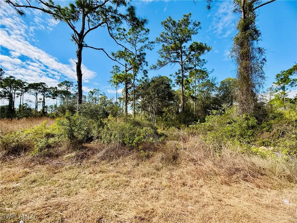 2007 Truman Avenue Alva FL 33920