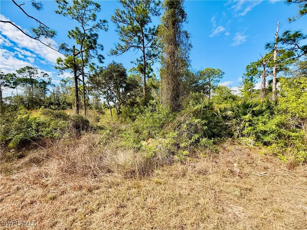 2007 Truman Avenue Alva FL 33920