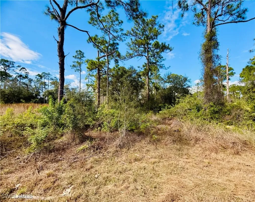 2007 Truman Avenue Alva FL 33920