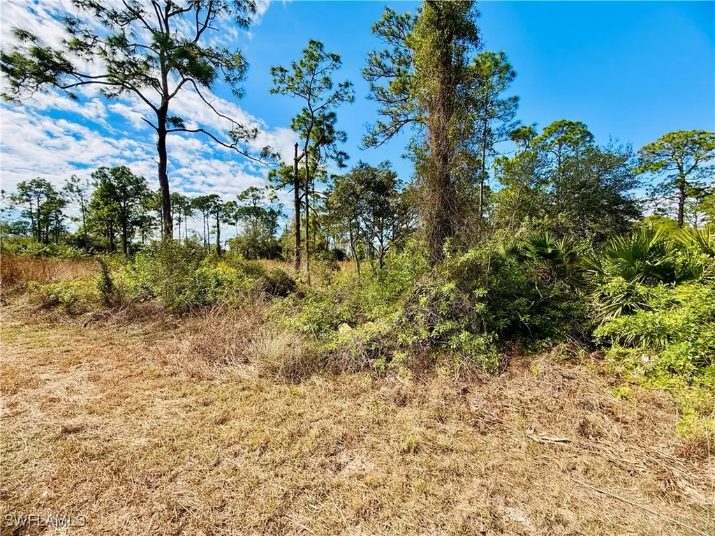 2007 Truman Avenue Alva FL 33920