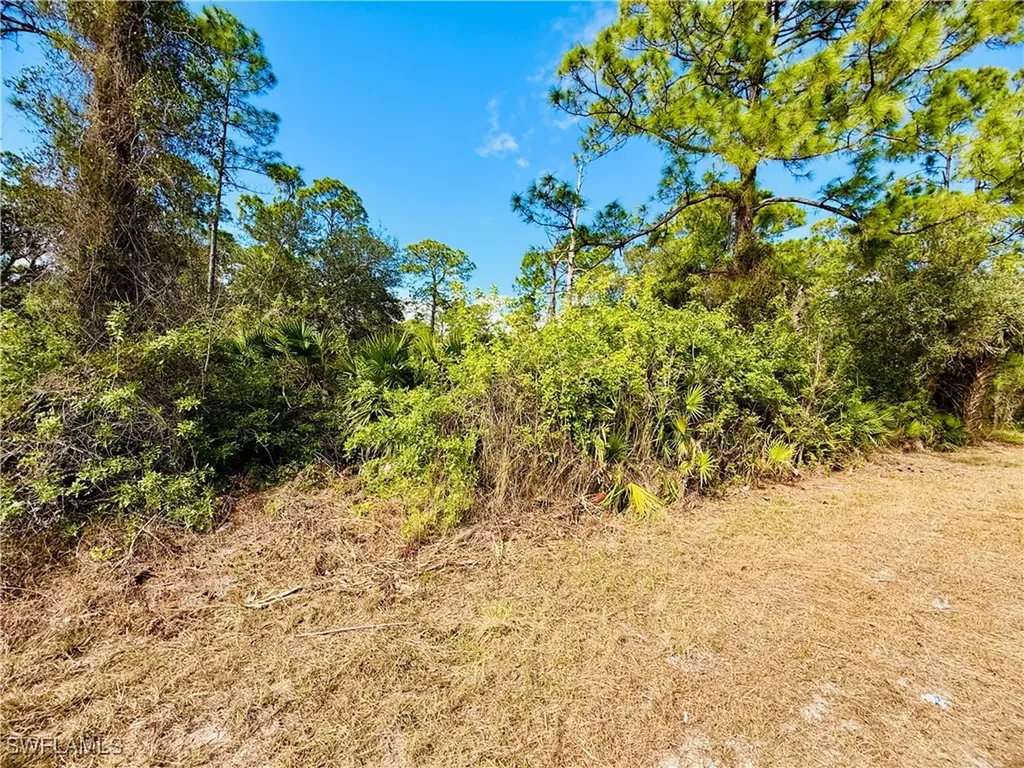 2007 Truman Avenue Alva FL 33920