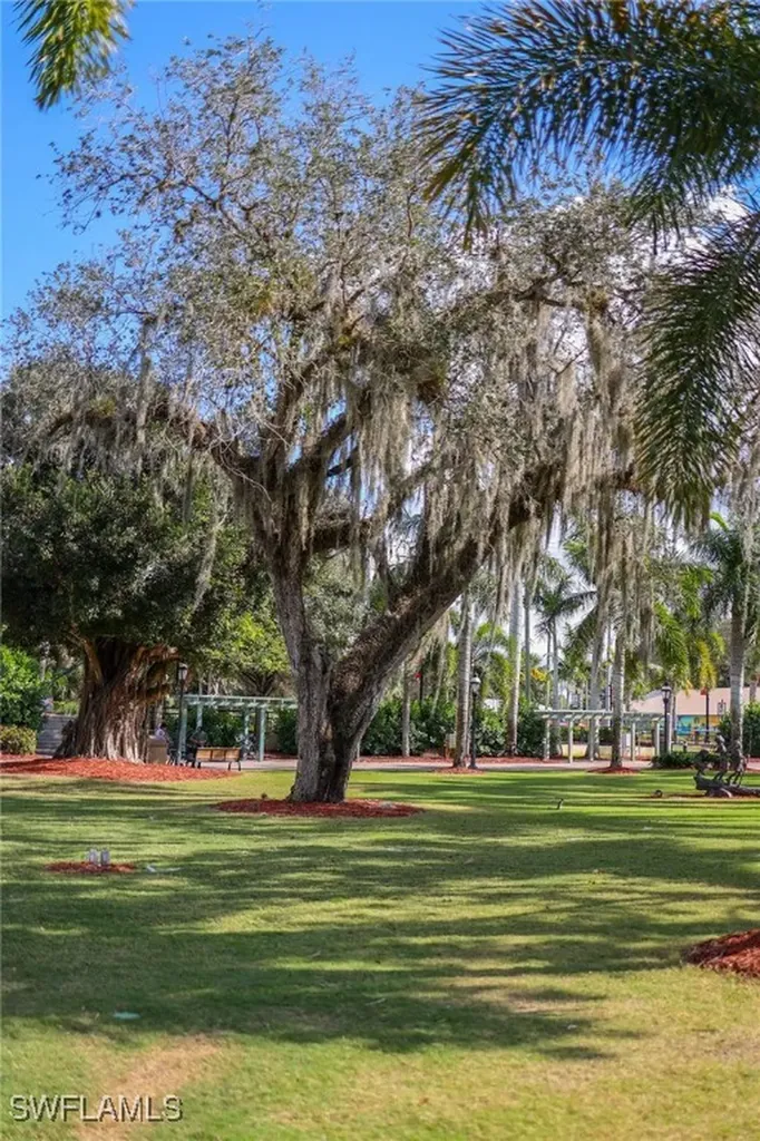 10690 Crockett Street Bonita Springs FL 34135