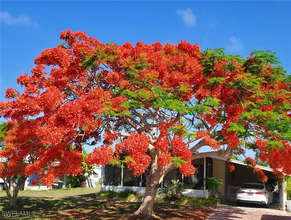 26257 Queen Mary Lane Bonita Springs FL 34135