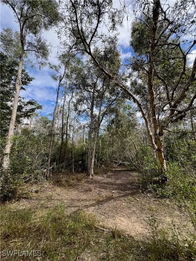 24265 Rocky Road Bonita Springs FL 34135