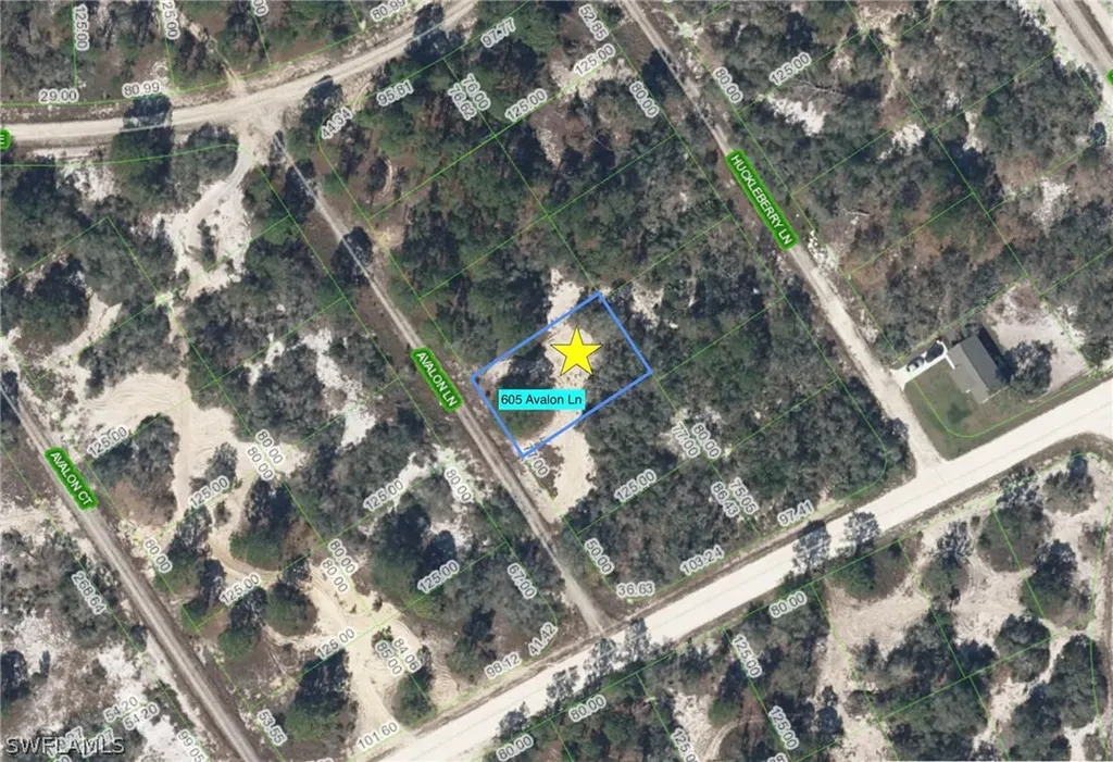 605 Avalon Lane Lake Placid FL 33852