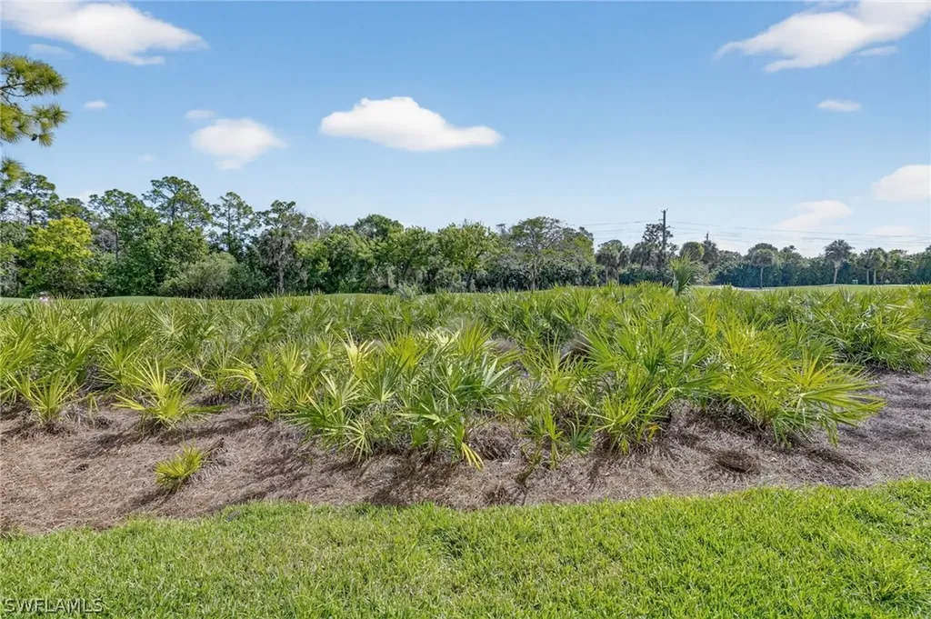26160 Clarkston Drive Bonita Springs FL 34135
