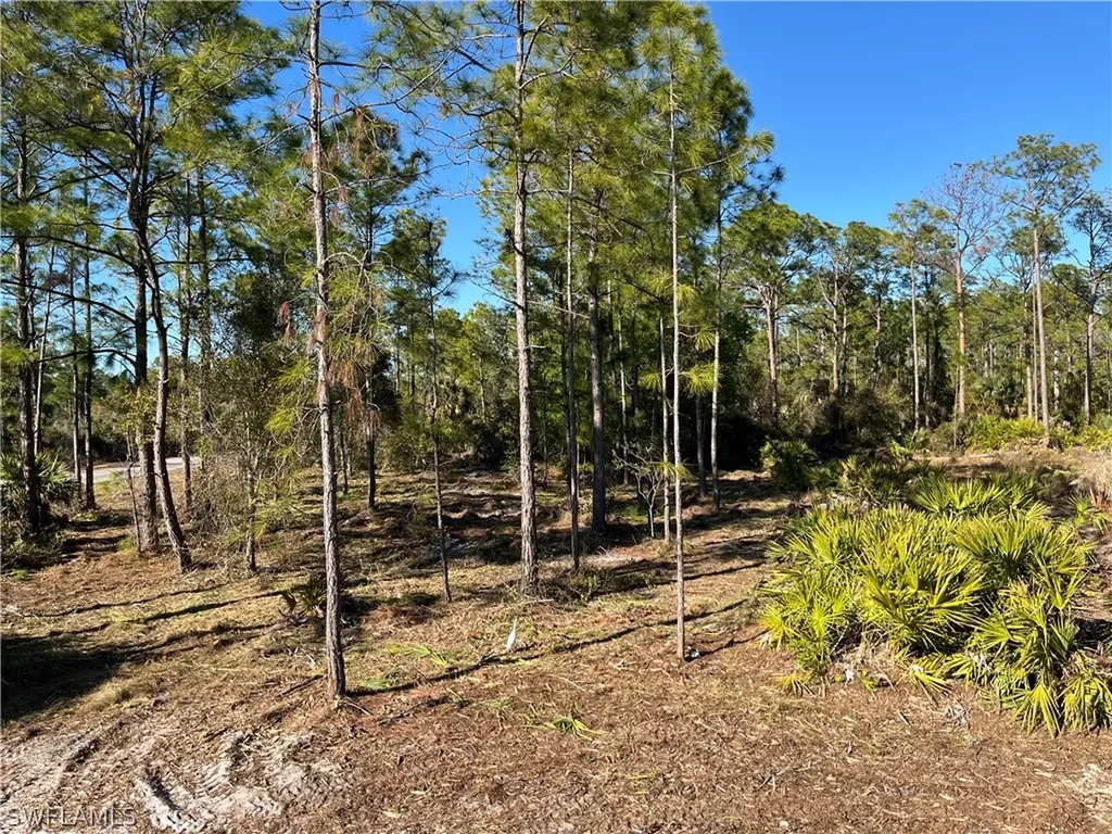 314 Spokane Avenue Lehigh Acres FL 33972