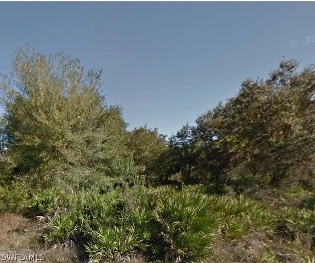 1006 Abbott Avenue Lehigh Acres FL 33972