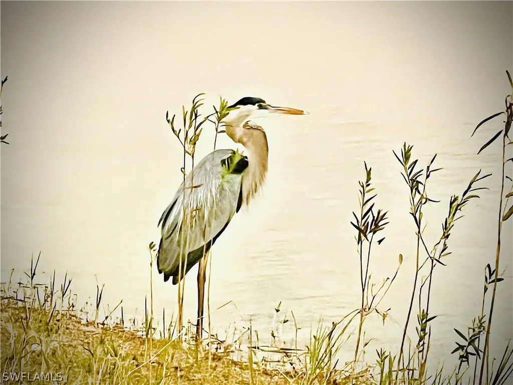 16753 Rolling Rock Boulevard Alva FL 33920