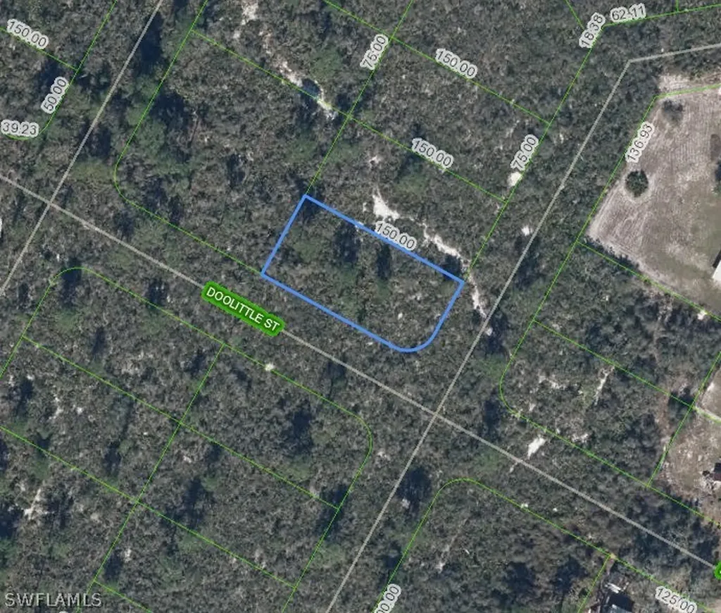 1424 Doolittle Street Lake Placid FL 33852
