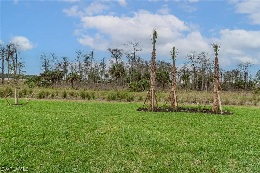 21085 Verawood Loop Estero FL 33928