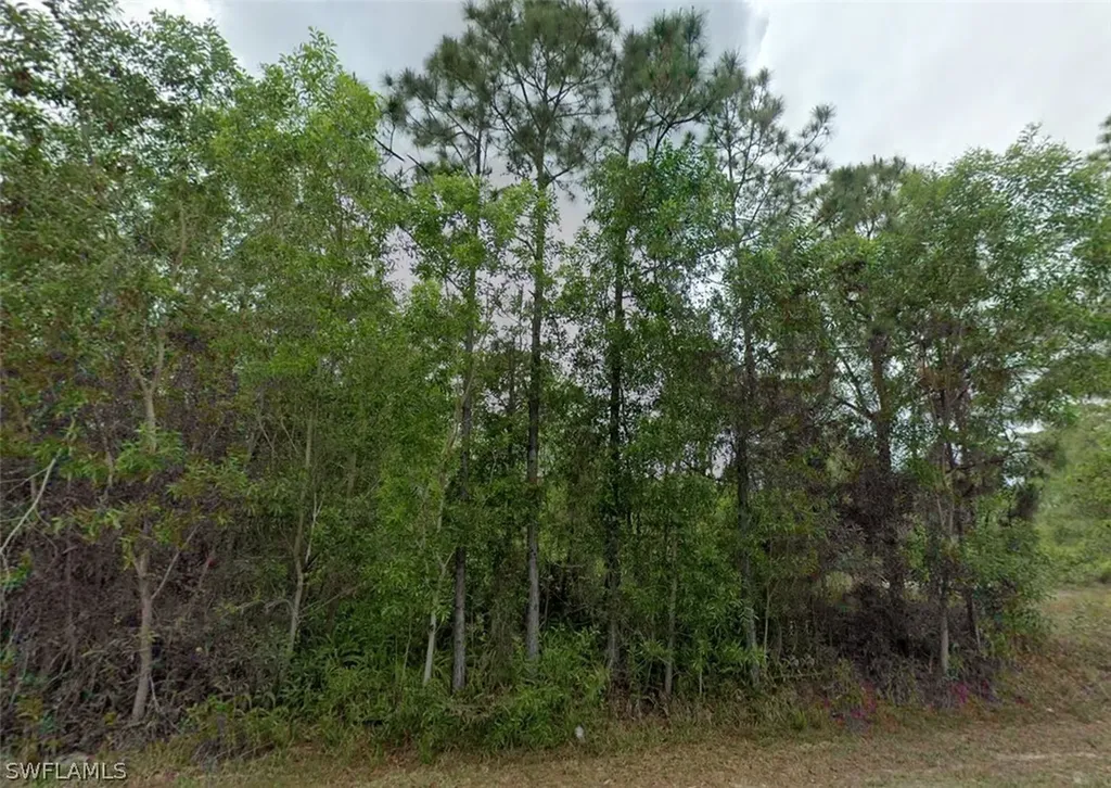 311 Monroe Avenue Lehigh Acres FL 33936